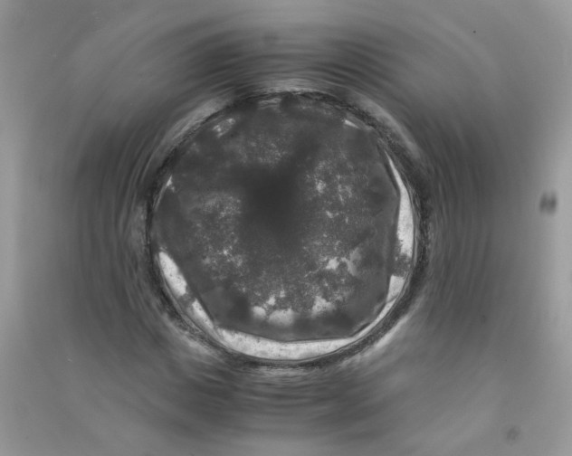 X0000090760825200708172046