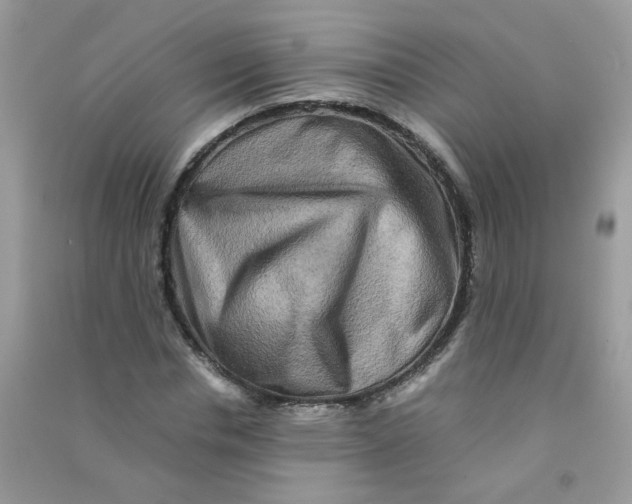 X0000090760826200708172046