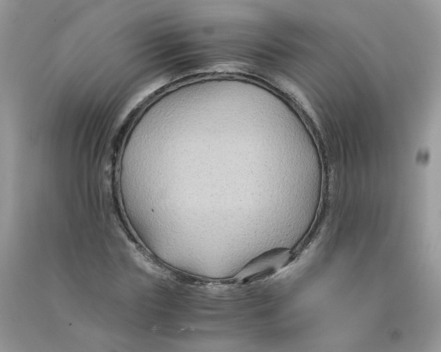 X0000090760827200708172046