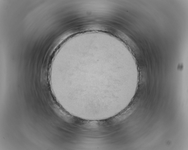 X0000090760828200708172046