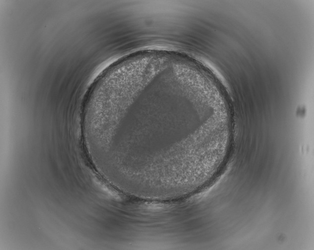 X0000090760829200708172046