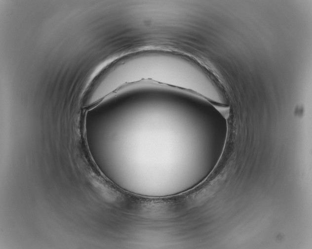 X0000090760830200708172046