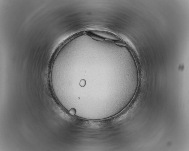 X0000090760831200708172046