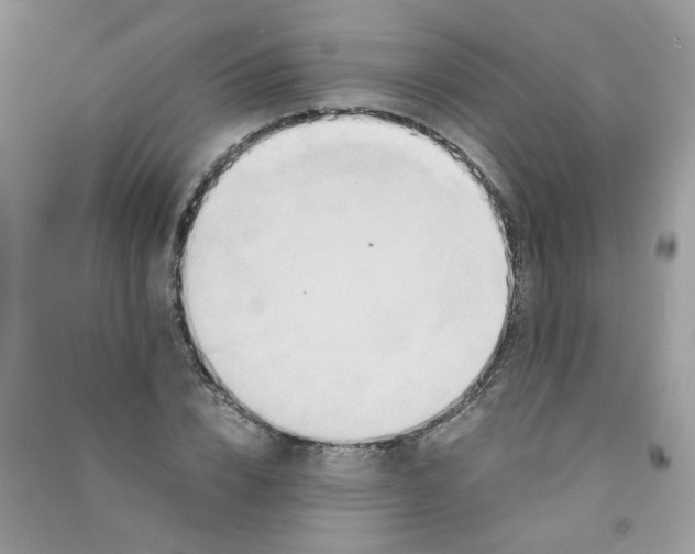 X0000090760832200708172046