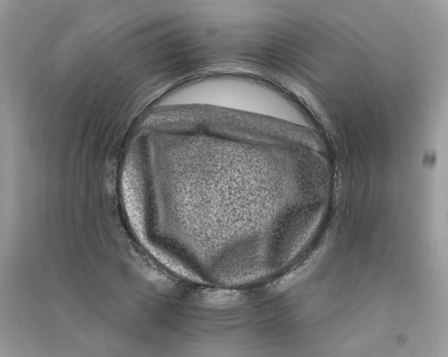 X0000090760833200708172046