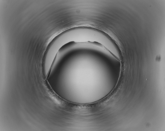 X0000090760834200708172046