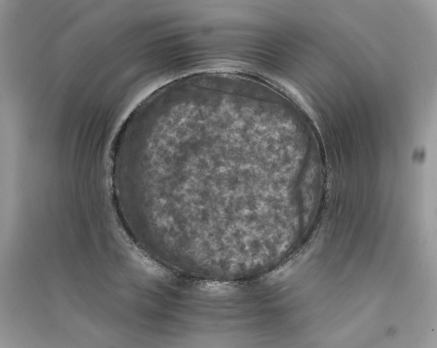 X0000090760835200708172046