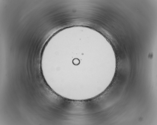 X0000090760836200708172046