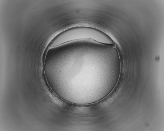 X0000090760837200708172046