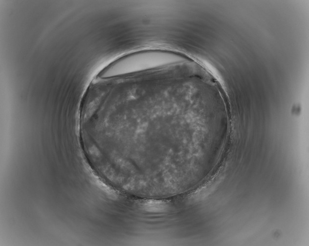 X0000090760839200708172046