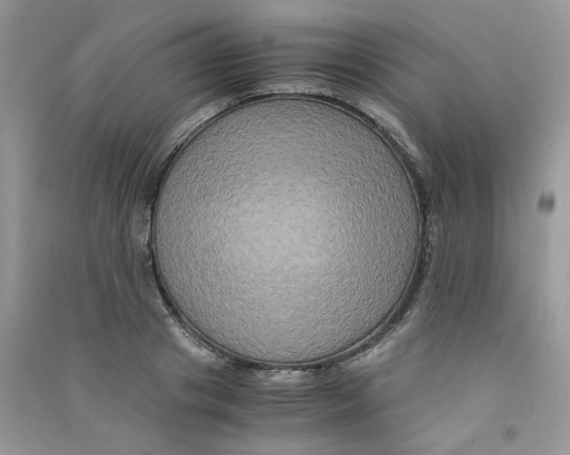 X0000090760841200708172046