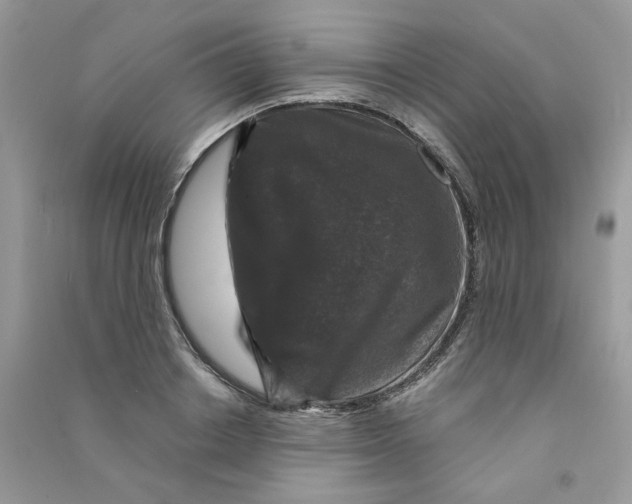 X0000090760842200708172046