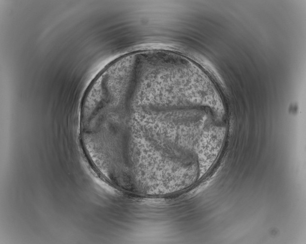 X0000090760844200708172046