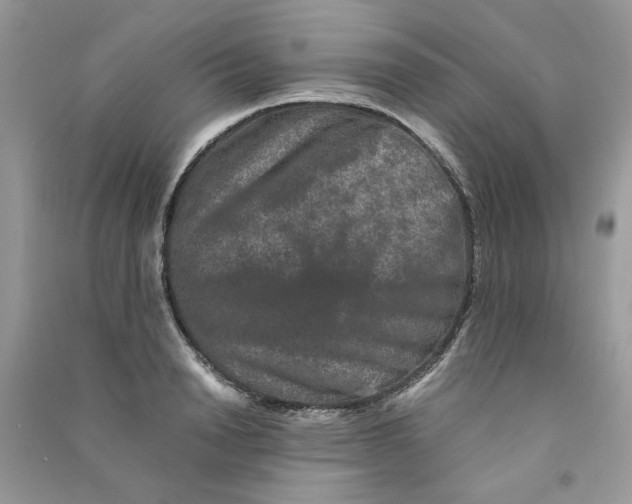 X0000090760846200708172046