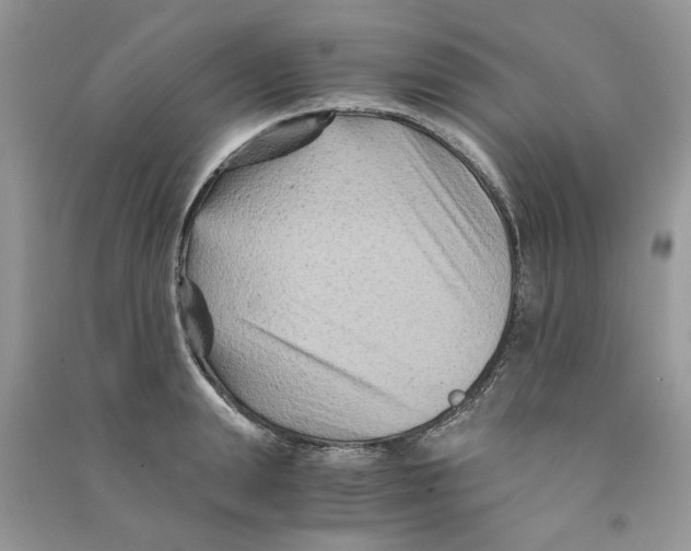 X0000090760847200708172046