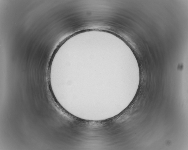 X0000090760848200708172046