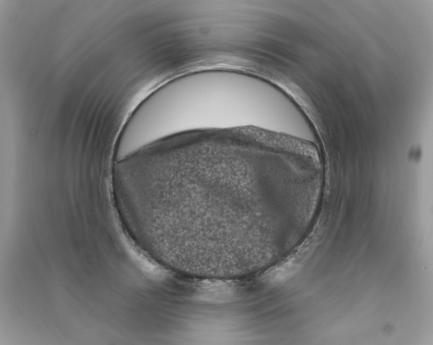 X0000090760850200708172046