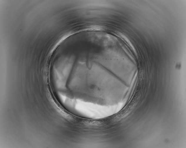 X0000090760851200708172046