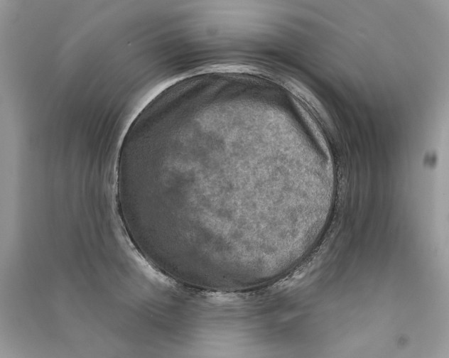 X0000090760852200708172046