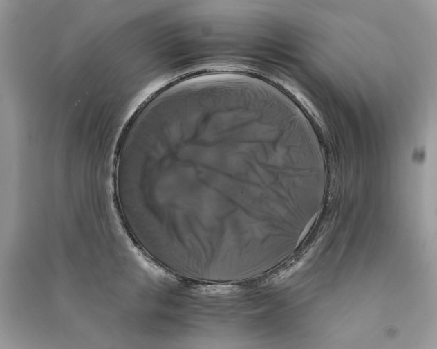 X0000090760853200708172046