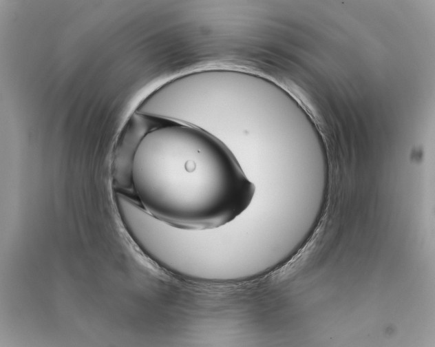 X0000090760854200708172046