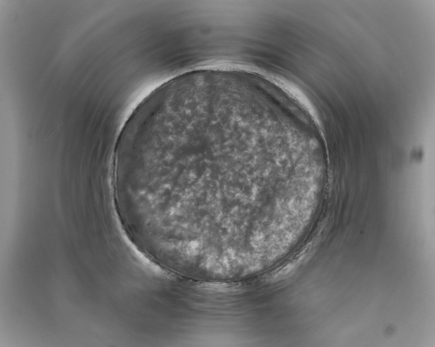 X0000090760855200708172046