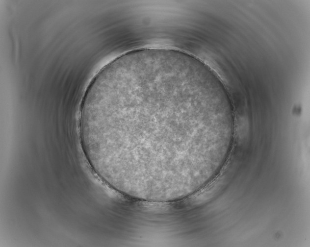 X0000090760856200708172046