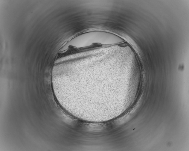 X0000090760857200708172046