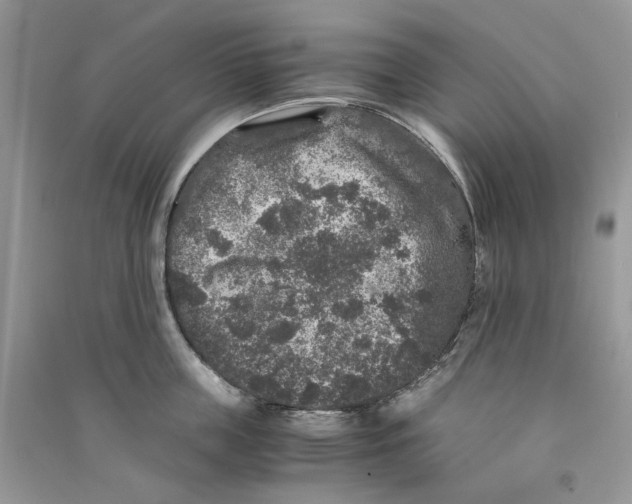 X0000090760859200708172046