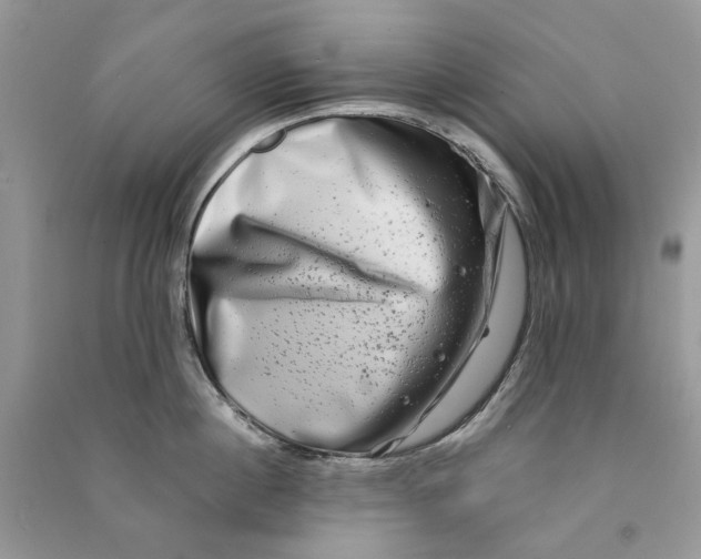 X0000090760860200708172046