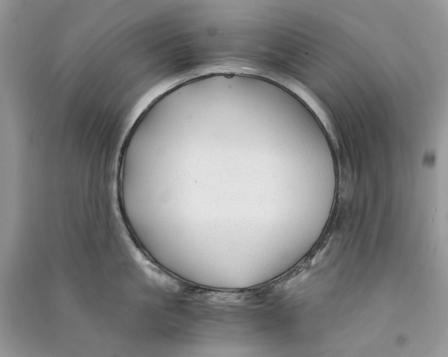 X0000090760861200708172046