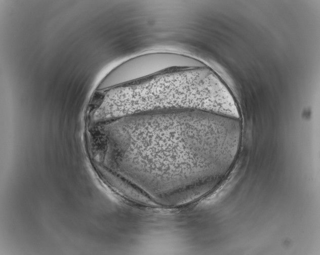 X0000090760862200708172046