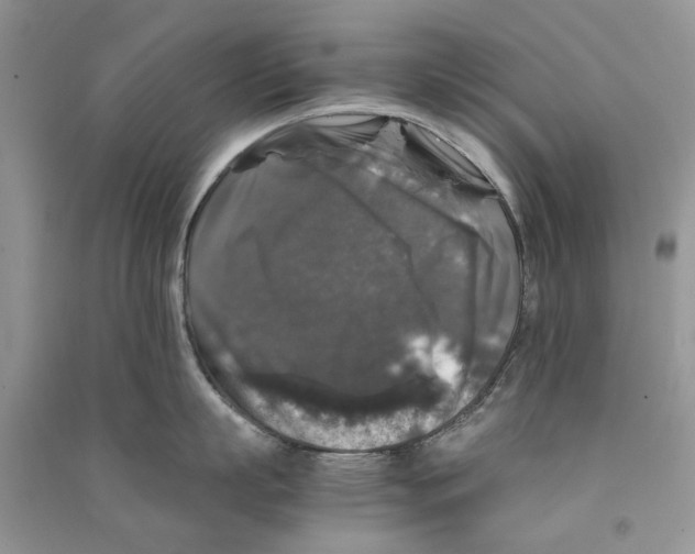 X0000090760863200708172046