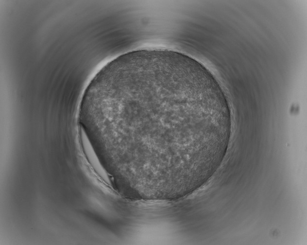 X0000090760864200708172046