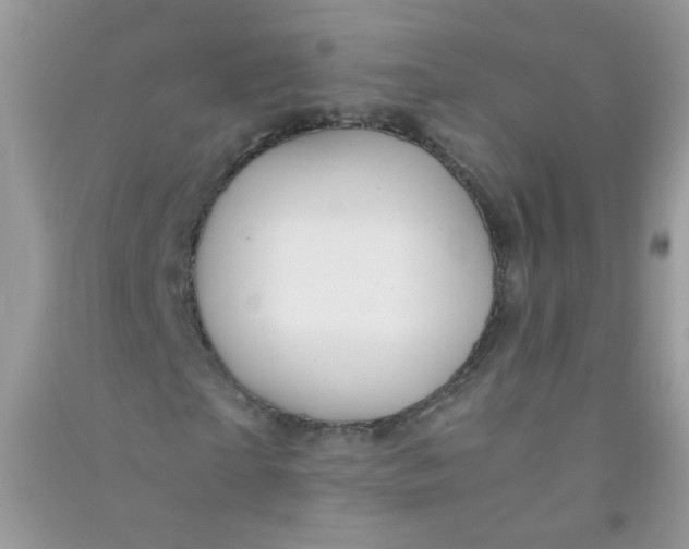 X0000090760865200708172046