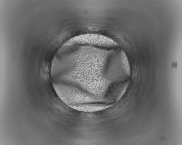 X0000090760866200708172046