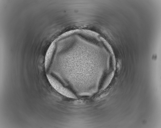 X0000090760867200708172046