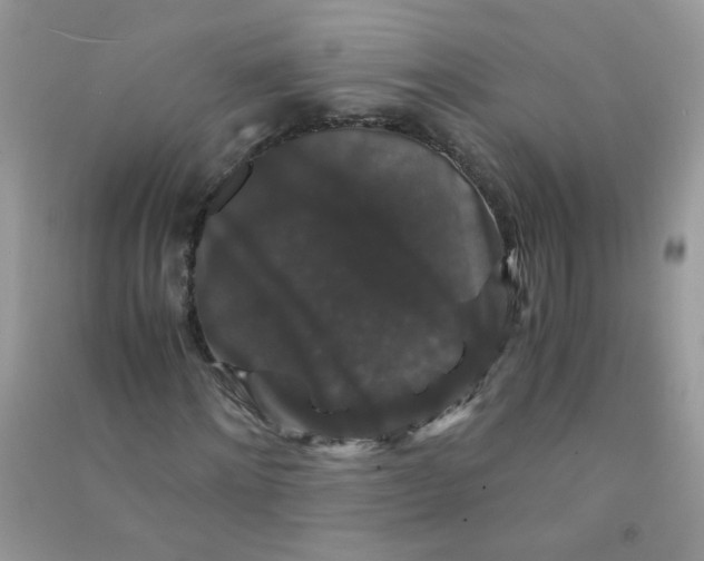 X0000090760868200708172046