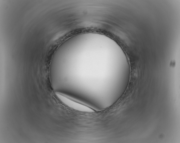 X0000090760869200708172046