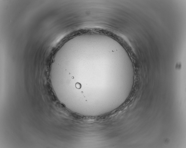 X0000090760871200708172046