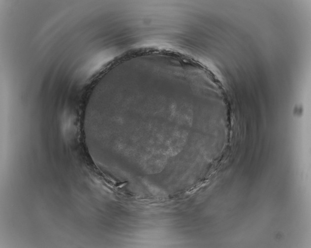 X0000090760872200708172046