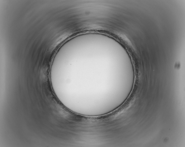 X0000090760873200708172046