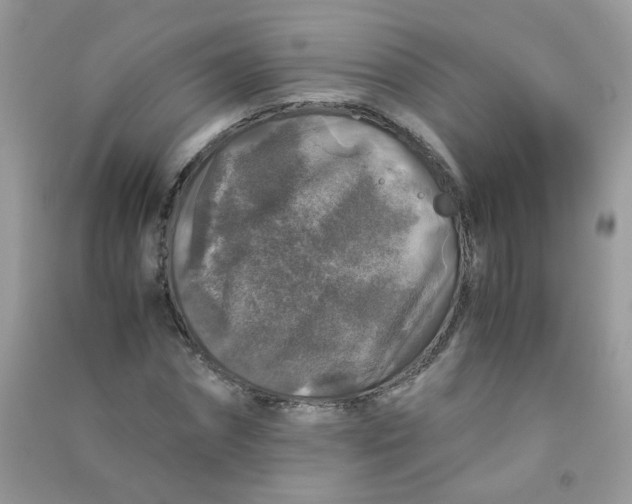 X0000090760874200708172046