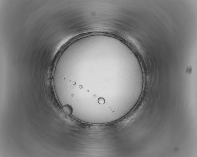 X0000090760875200708172046