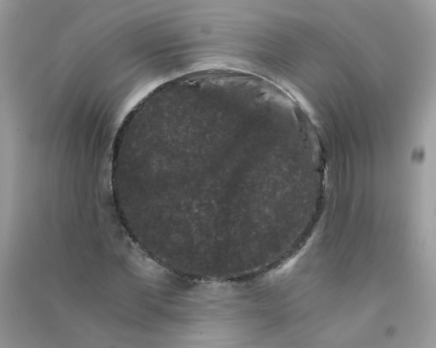 X0000090760877200708172046