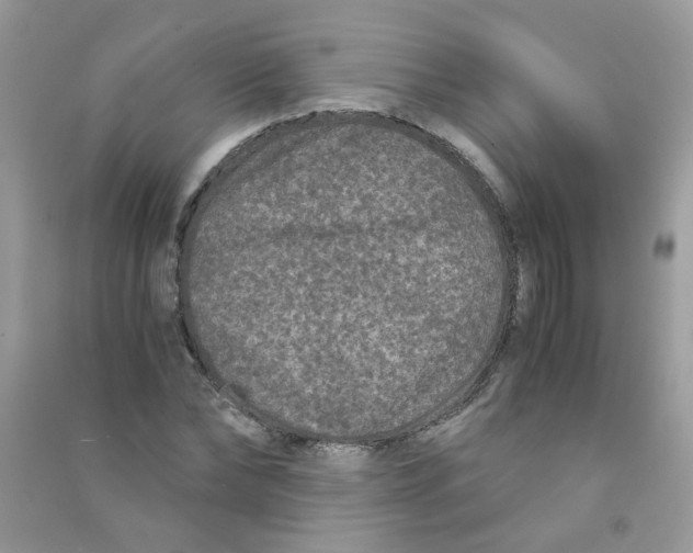 X0000090760878200708172046