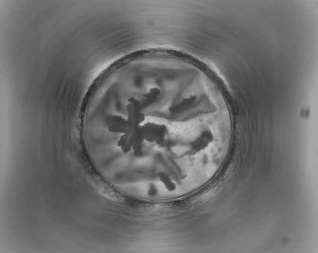 X0000090760879200708172046