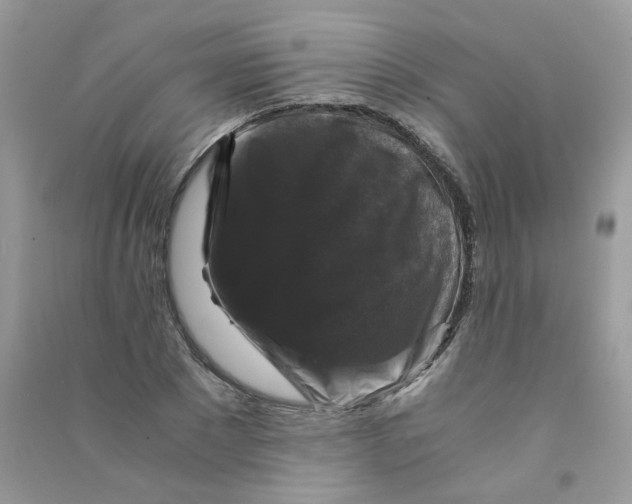 X0000090760881200708172045