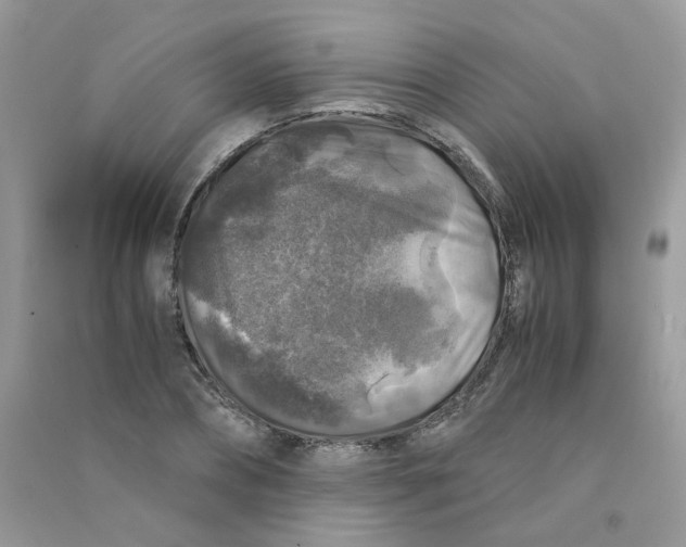 X0000090760882200708172045