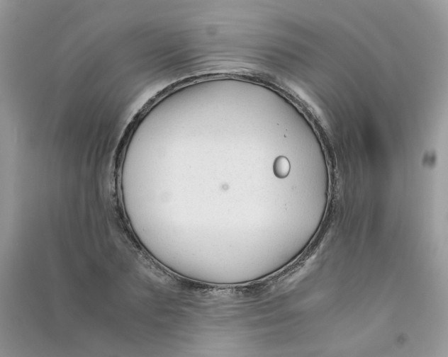 X0000090760883200708172045